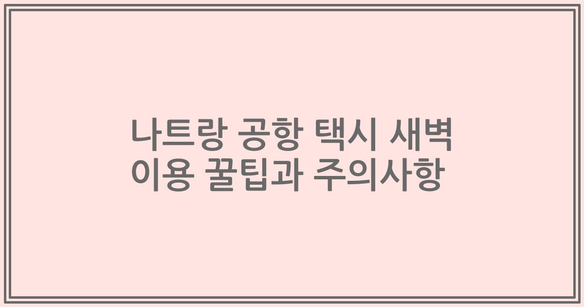 나트랑 공항 택시 새벽 이용 꿀팁과 주의사항