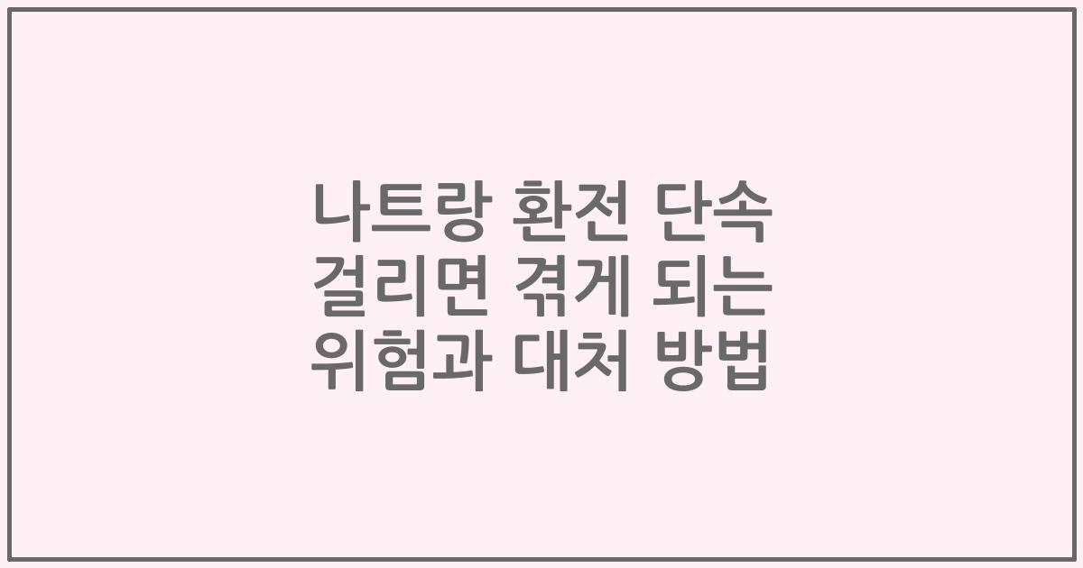 나트랑 환전 단속 걸리면 겪게 되는 위험과 대처 방법